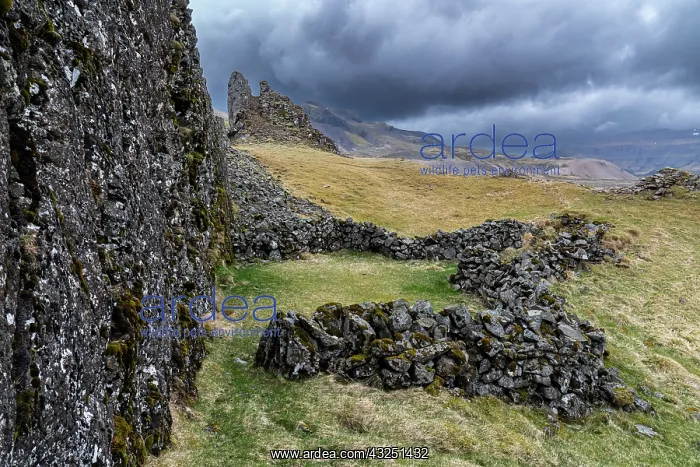 : Iceland. Remains of an ancient stone fence along : Iceland. Remains of an ancient stone fence along