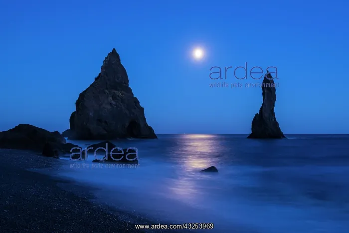 : Iceland, Reynisdrangur. Moonrise reflection : Iceland, Reynisdrangur. Moonrise reflection