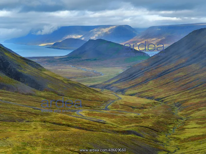 : Iceland. Road over Hrafnseyrarheidi near Thingeyri during : Iceland. Road over Hrafnseyrarheidi near Thingeyri during