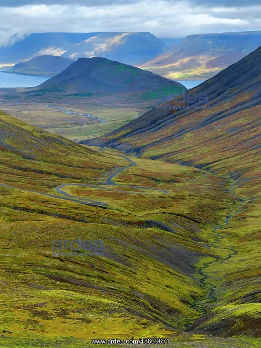 : Iceland. Road over Hrafnseyrarheidi near Thingeyri during : Iceland. Road over Hrafnseyrarheidi near Thingeyri during
