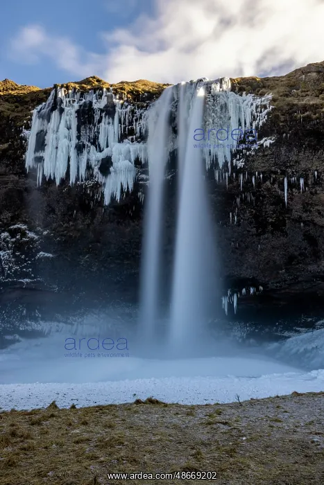 : Iceland, Seljalandsfoss Waterfall : Iceland, Seljalandsfoss Waterfall