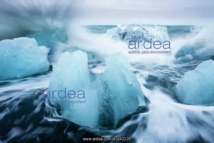 : Iceland, Skaftafell National Park, Icebergs : Iceland, Skaftafell National Park, Icebergs