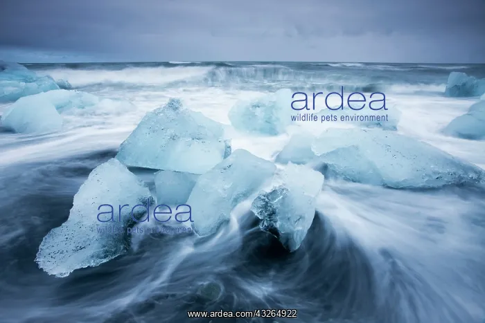 : Iceland, Skaftafell National Park, Icebergs : Iceland, Skaftafell National Park, Icebergs