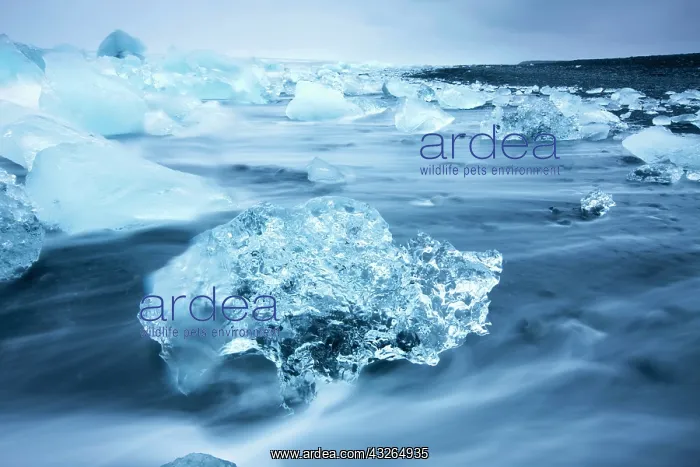 : Iceland, Skaftafell National Park, Icebergs : Iceland, Skaftafell National Park, Icebergs