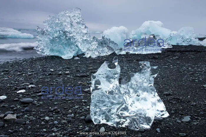  : Iceland, Skaftafell National Park, Icebergs