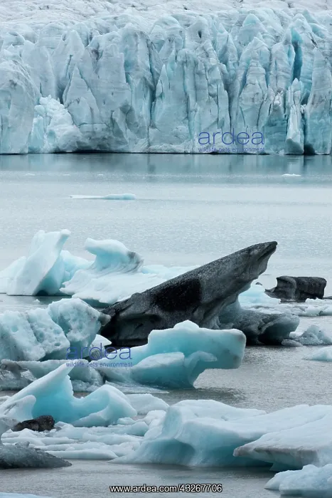 : Iceland, Skaftafell National Park, Icebergs : Iceland, Skaftafell National Park, Icebergs