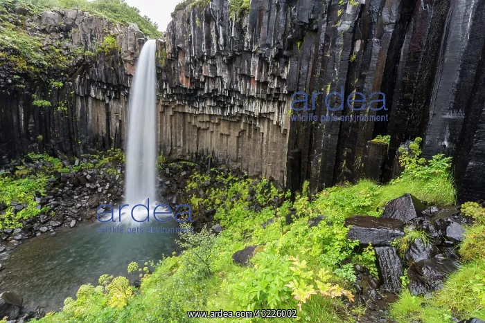 : Iceland, Skaftafell, Svartifoss waterfall : Iceland, Skaftafell, Svartifoss waterfall