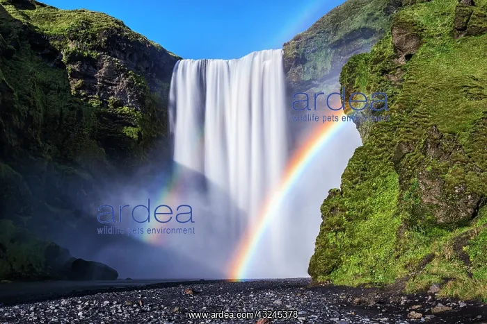 : Iceland, Skogafoss. Waterfall and rainbow : Iceland, Skogafoss. Waterfall and rainbow