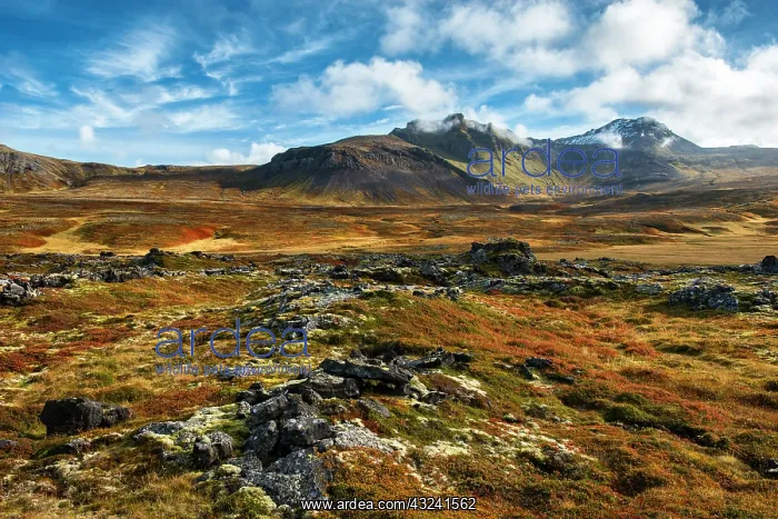  : Iceland, Snaefellsnes Peninsula. Autumn