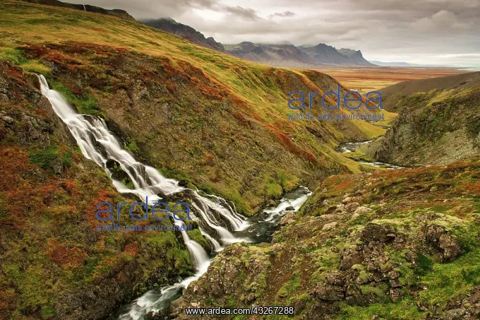 : Iceland, Snaefellsnes Peninsula. Small waterfall : Iceland, Snaefellsnes Peninsula. Small waterfall