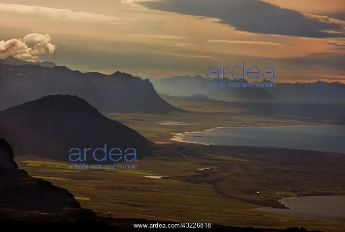 : Iceland, Snaefellsnes Peninsula. Sunset : Iceland, Snaefellsnes Peninsula. Sunset