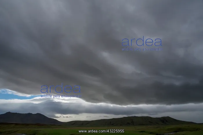 : Iceland, stormy scenic : Iceland, stormy scenic