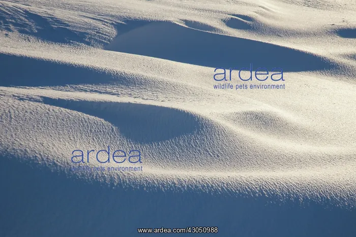 : Iceland Structures Snow drift Snaefellsnes, Iceland : Iceland Structures Snow drift Snaefellsnes, Iceland