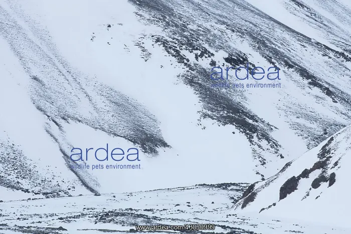 : Iceland Structures Snow mountain landscape in winter Sn : Iceland Structures Snow mountain landscape in winter Sn
