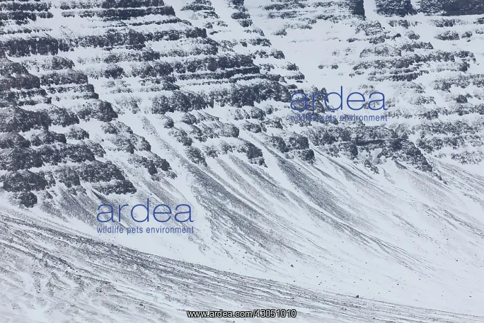 : Iceland Structures Snow mountain landscape in winter Sn : Iceland Structures Snow mountain landscape in winter Sn