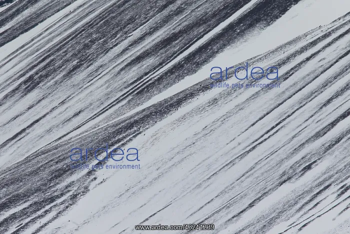 : Iceland Structures Snow mountain landscape in winter Sn : Iceland Structures Snow mountain landscape in winter Sn