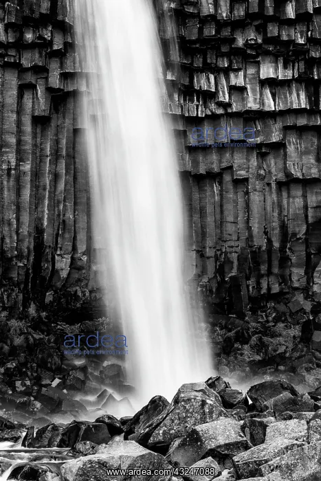  : Iceland, Svartifoss, Vatnajokull National Park