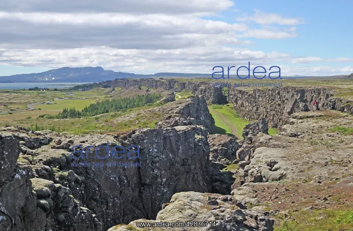 : Iceland. Thingvellir (Pingvellir) National Park, showing : Iceland. Thingvellir (Pingvellir) National Park, showing
