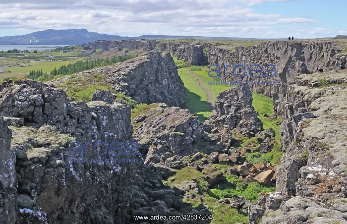  : Iceland. Thingvellir (Pingvellir) National Park