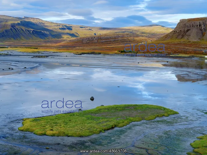 : Iceland. View over the coastline of the Breidastroend at : Iceland. View over the coastline of the Breidastroend at