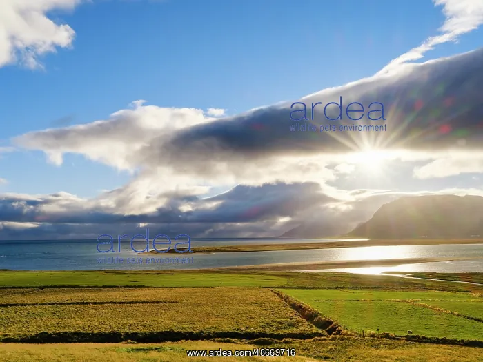 : Iceland. View over the coastline of the Breidastroend at : Iceland. View over the coastline of the Breidastroend at