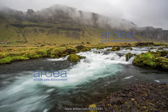: Iceland, waterfall : Iceland, waterfall