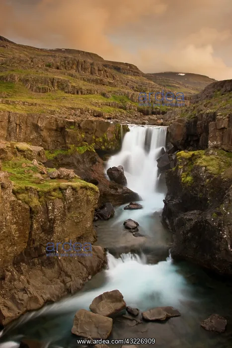 : Iceland. Waterfall in Berufjordur Fjord : Iceland. Waterfall in Berufjordur Fjord