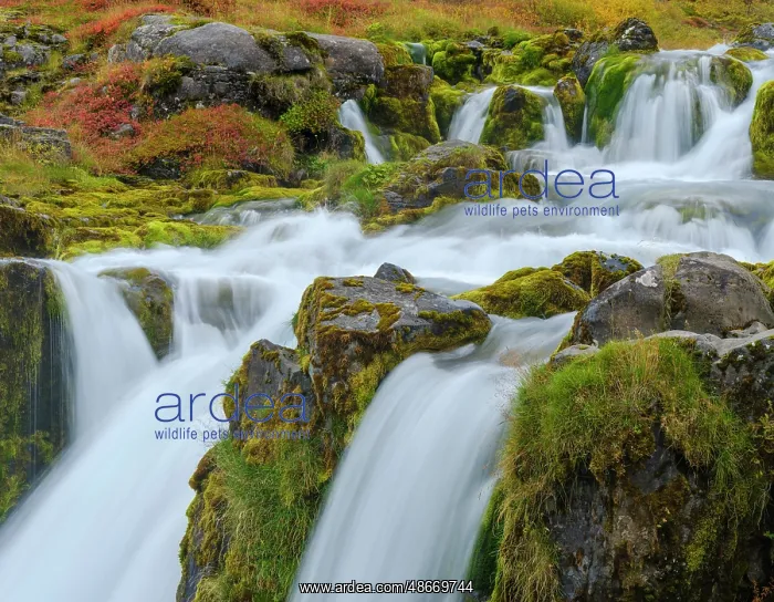 : Iceland. Waterfall Dynjandi in Borgarfjordur during autumn : Iceland. Waterfall Dynjandi in Borgarfjordur during autumn
