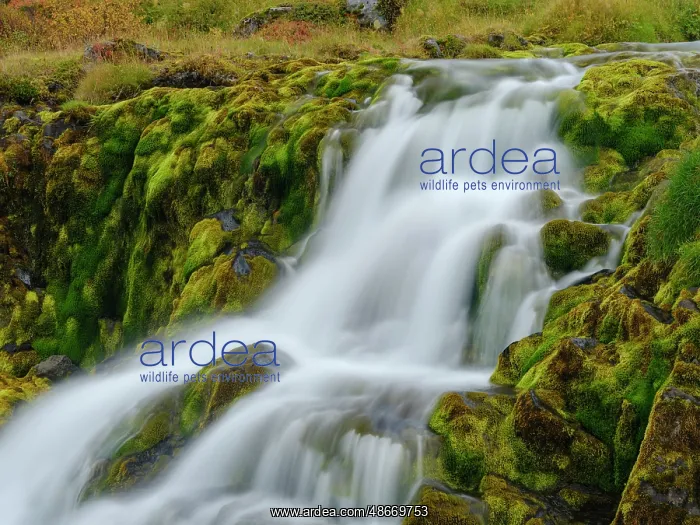  : Iceland. Waterfall Dynjandi in Borgarfjordur during autumn
