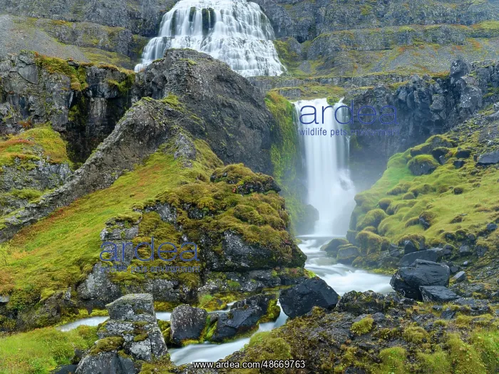 : Iceland. Waterfall Dynjandi in Borgarfjordur during autumn : Iceland. Waterfall Dynjandi in Borgarfjordur during autumn