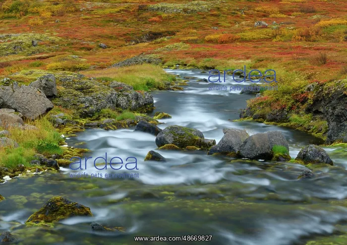 : Iceland. Waterfall Dynjandi in Borgarfjordur during autumn : Iceland. Waterfall Dynjandi in Borgarfjordur during autumn