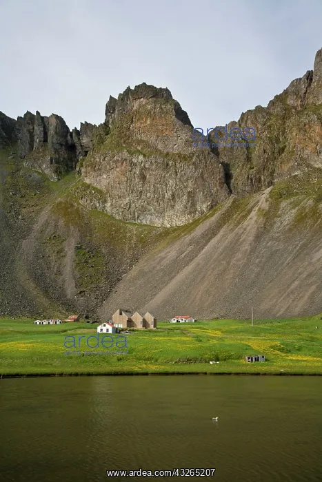 : Icelandic farm : Icelandic farm