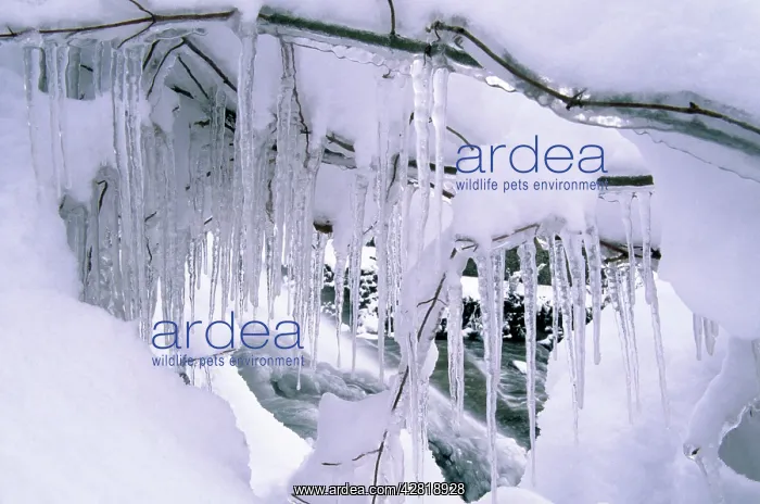 : Icicles. Near Ithaca, New York, USA
