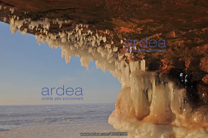 : Icicles hanging from ceiling in a cave, Apostle : Icicles hanging from ceiling in a cave, Apostle