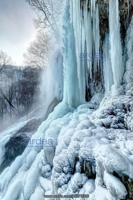 : Icicles at the waterfall, permafrost with icy landscape : Icicles at the waterfall, permafrost with icy landscape