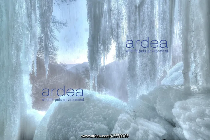 : Icicles at the waterfall, permafrost with icy landscape : Icicles at the waterfall, permafrost with icy landscape