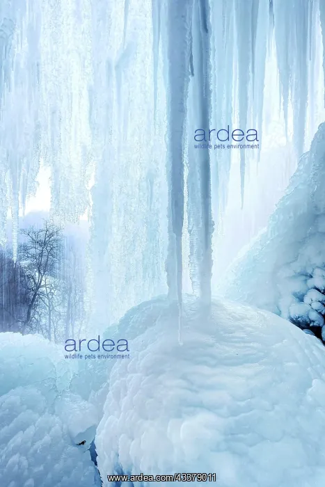 : Icicles at the waterfall, permafrost with icy landscape : Icicles at the waterfall, permafrost with icy landscape