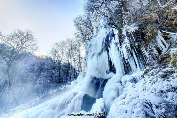 : Icicles at the waterfall, permafrost with icy landscape : Icicles at the waterfall, permafrost with icy landscape