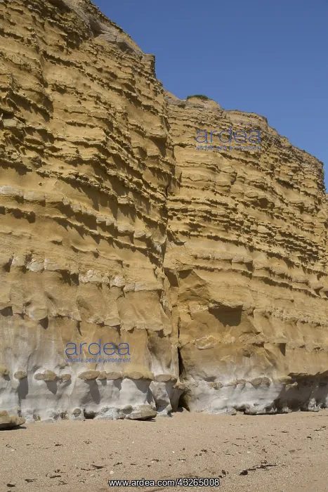  : Iconic golden cliffs West Bay and Hive Beach Burton
