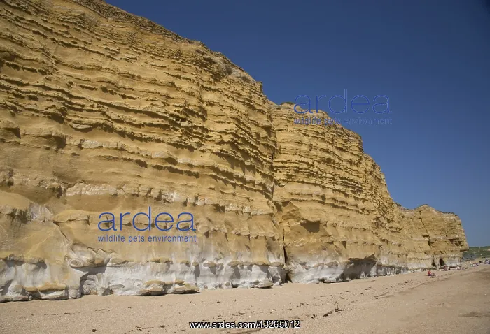  : Iconic golden cliffs West Bay and Hive Beach Burton
