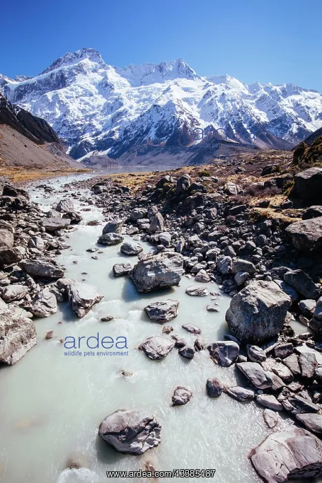 : The iconic half day Hooker Valley Track hike at M