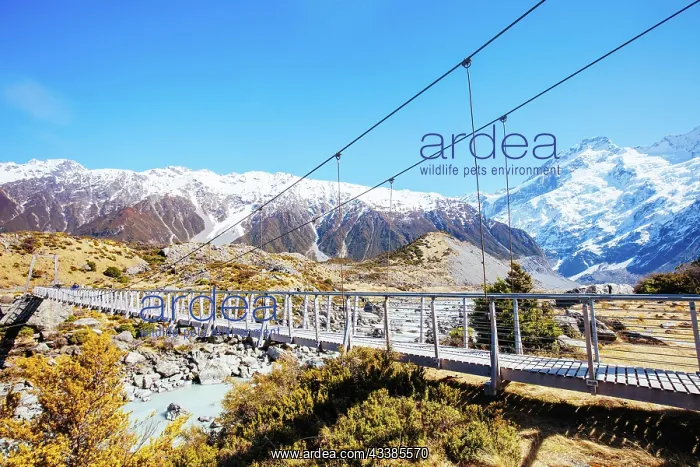  : The iconic half day world famous Hooker Valley Track h