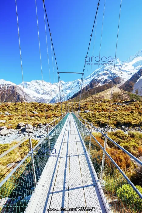  : The iconic half day world famous Hooker Valley Track h