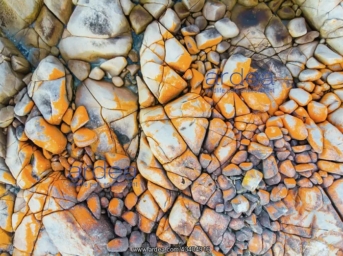  : The iconic lichen covered rocks and turqoise ocean