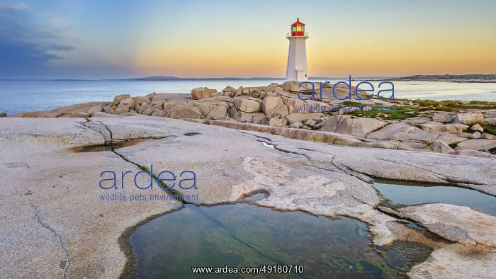  : The iconic lighthouse at Peggy's Cove