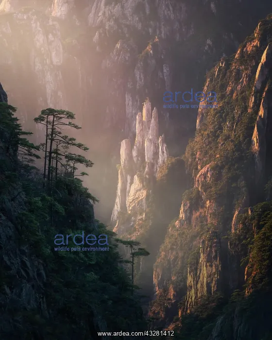 : Iconic rock formation of Yellow mountains. Xihai