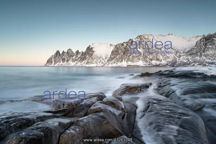 : Icy coastal landscape on dusk, Tungeneset, Senja : Icy coastal landscape on dusk, Tungeneset, Senja