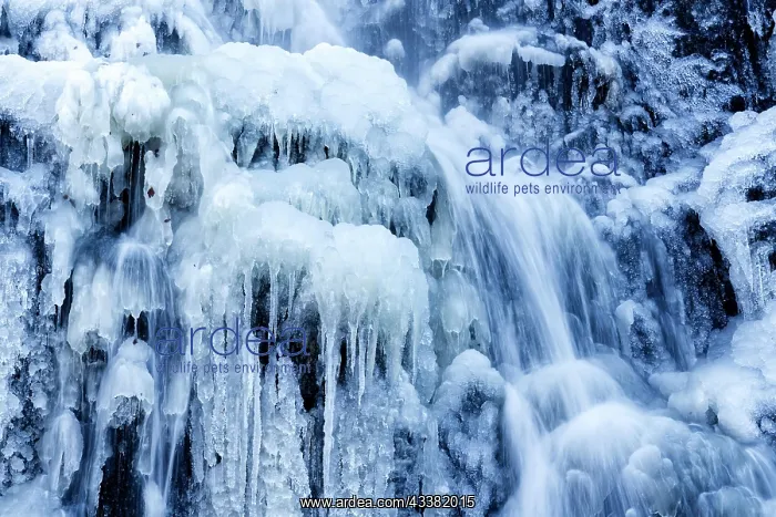 : Icy Radau waterfall, winter in the Harz mountains : Icy Radau waterfall, winter in the Harz mountains