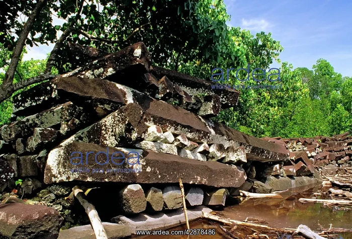 : Idehd, part of the fortress complex Nan Madol (c.1200 AD) : Idehd, part of the fortress complex Nan Madol (c.1200 AD)