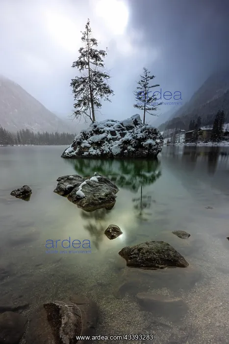 : Idyll in winter at Hintersee in Berchtesgadener : Idyll in winter at Hintersee in Berchtesgadener